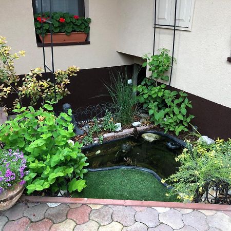 Milla Apartman Szentendre Bagian luar foto